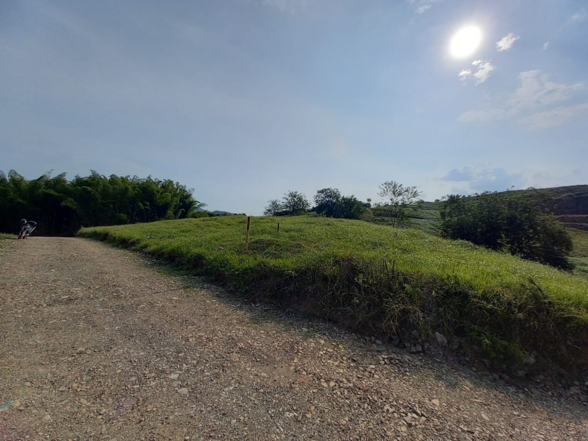 Foto de Lote / terreno en Venta en Vereda santagueda, Palestina - 9 - 24584