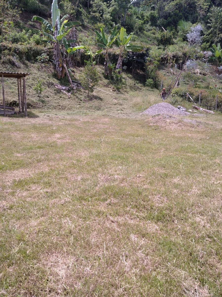 Foto de Lote / terreno en Venta en San peregrino, Manizales - 11 - 279024611