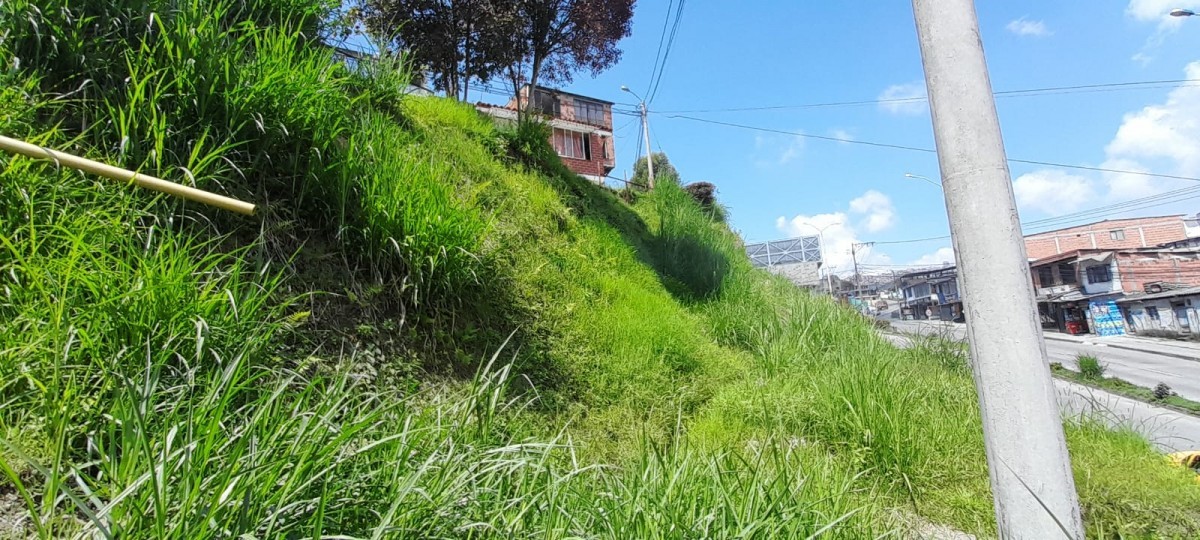 Foto de Lote / terreno en Venta en La isabela, Villamaria - 7 - 25073
