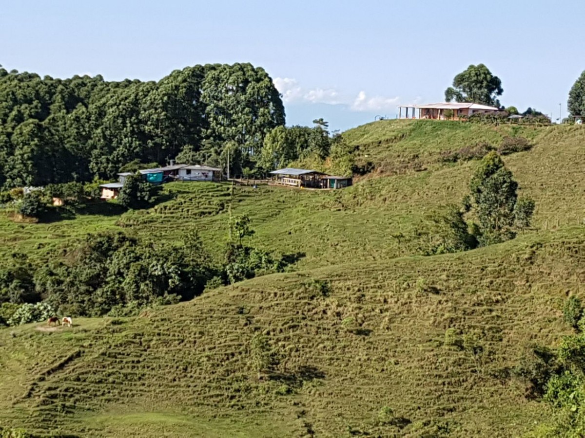 Foto de Finca en Venta en Santa rosa de cabal, Santa rosa de cabal - 14 - 279056021