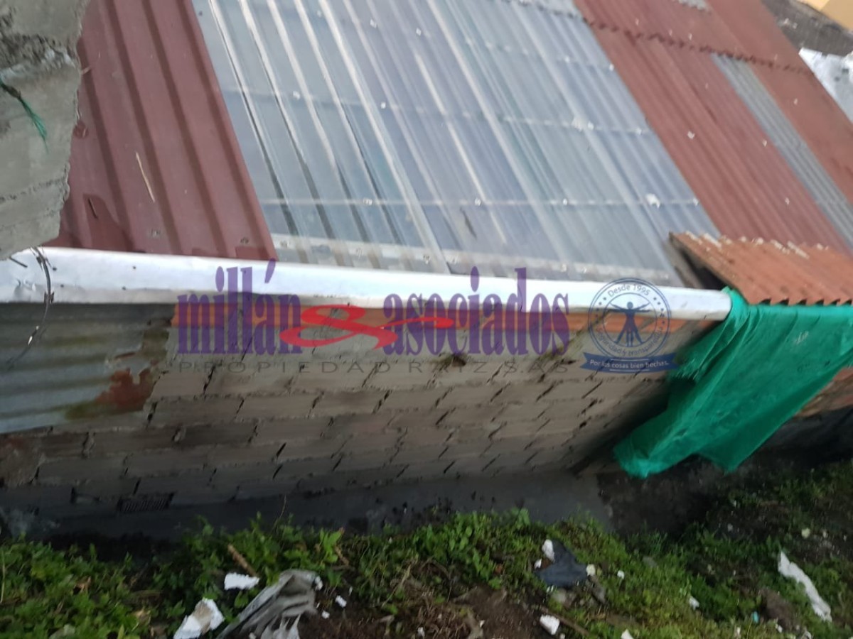 Foto de Lote / terreno en Venta en San jorge, Manizales - 3 - 51806