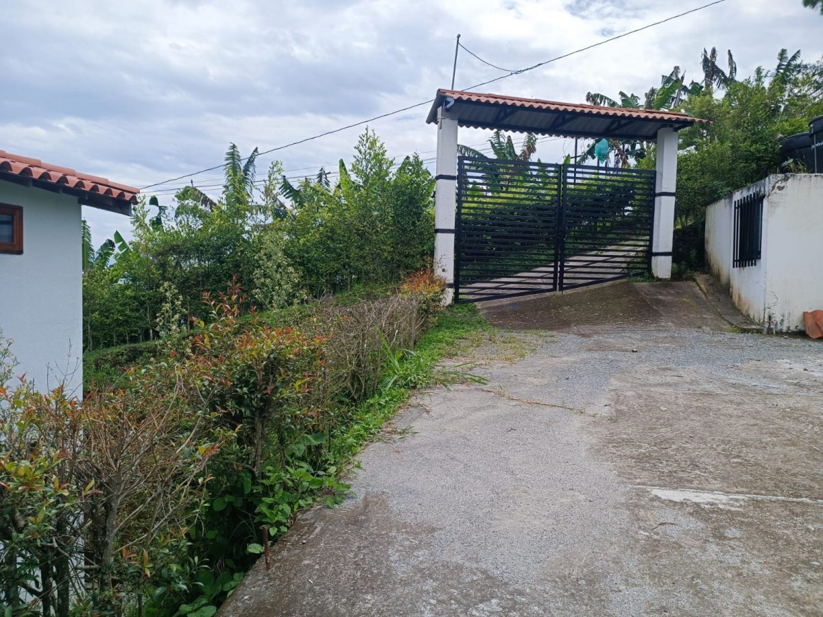 Foto de Finca para Venta en Vereda santagueda, Palestina - 279052239