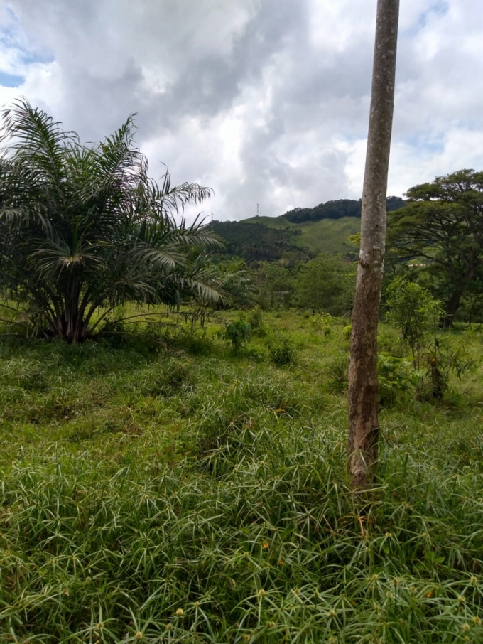Foto de Lote / terreno en Venta en Vereda la libertad, Risaralda - 10 - 18529