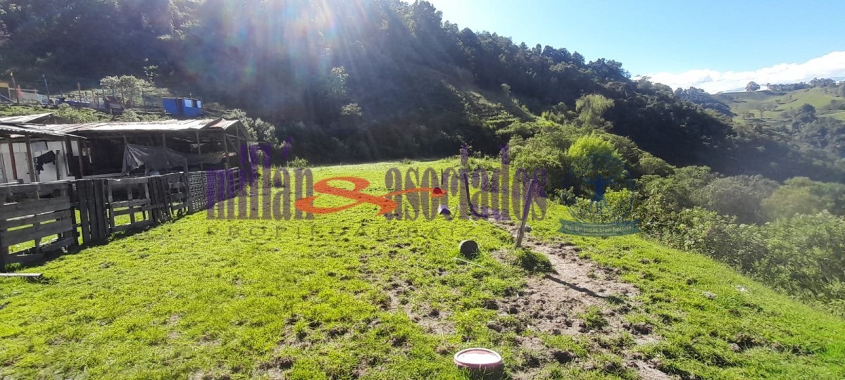 Foto de Lote / terreno en Venta en Cerro de oro, Manizales - 0 - 51810