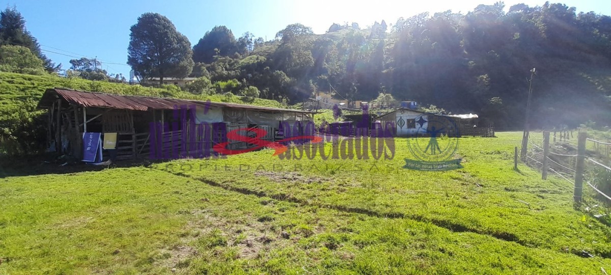Foto de Lote / terreno en Venta en Cerro de oro, Manizales - 5 - 51810