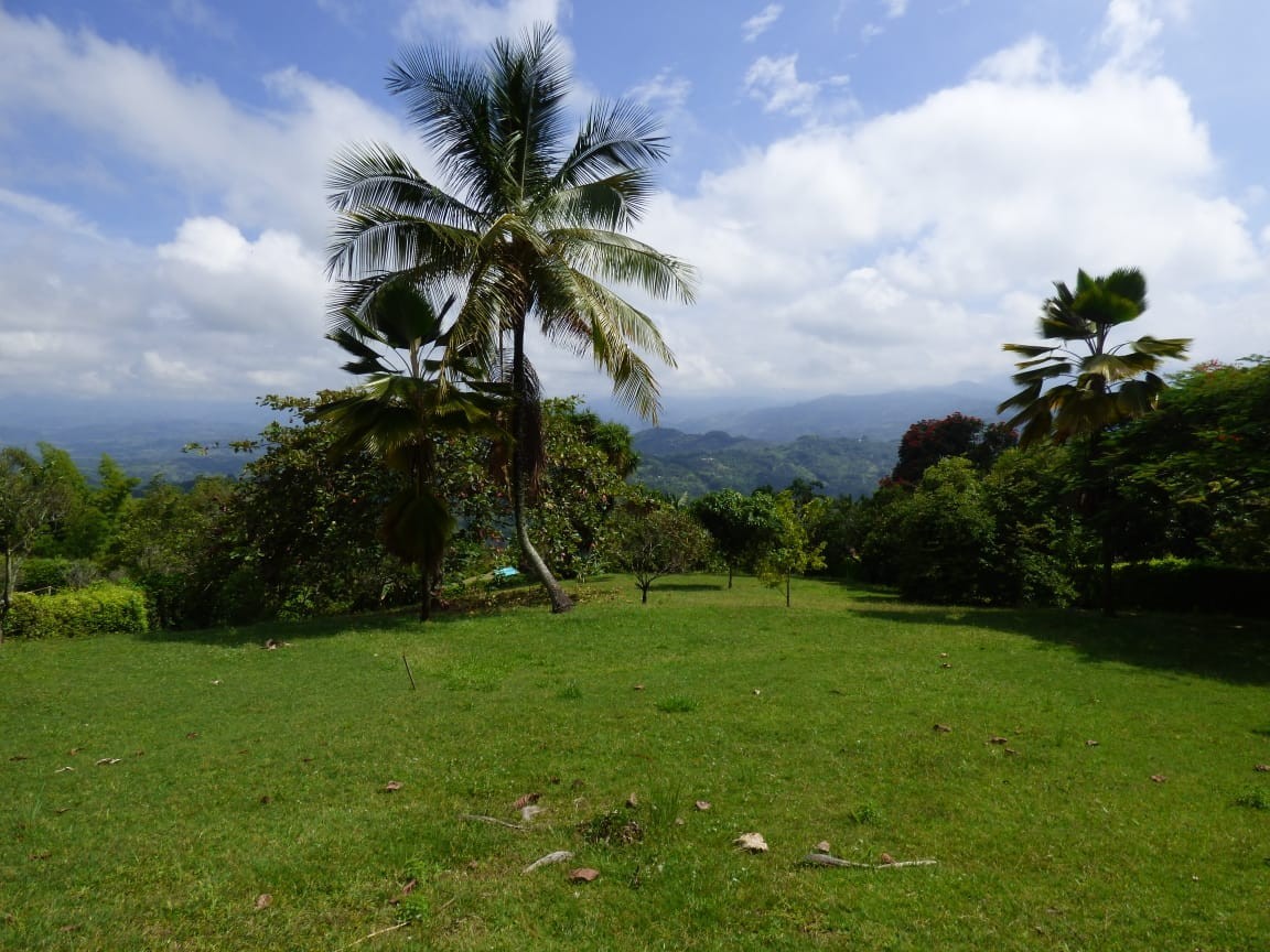 Foto de Lote / terreno en Venta en La cabaña, Manizales - 6 - 23074
