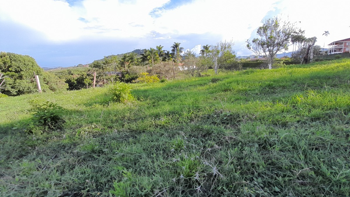 Foto de Lote / terreno en Venta en Arauca via risaralda, Risaralda - 10 - 279024588