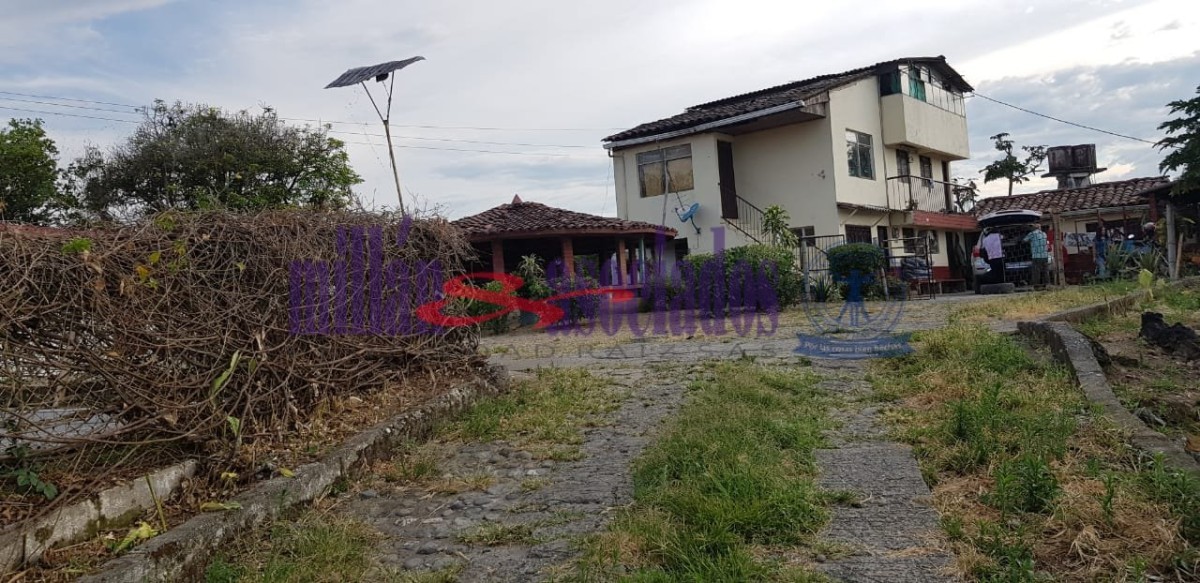 Foto de Finca en Venta en Tres esquinas, Chinchina - 8 - 52177