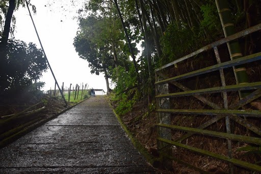 Foto de Finca en Venta en La cabaña, Manizales - 13 - 279024307