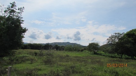 Foto de Lote / terreno en Venta en Vereda santagueda, Palestina - 13 - 27909649