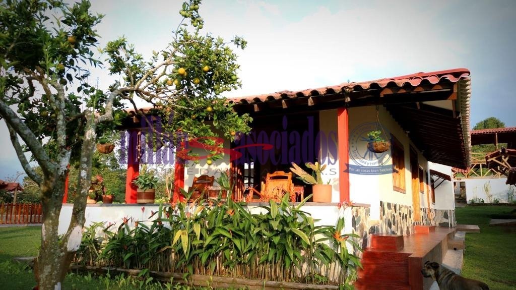 Foto de Finca en Venta en Alto de la mina, Chinchina - 6 - 51980