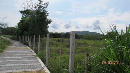 Foto de Lote / terreno en Venta en Vereda santagueda, Palestina - 12 - 27909649