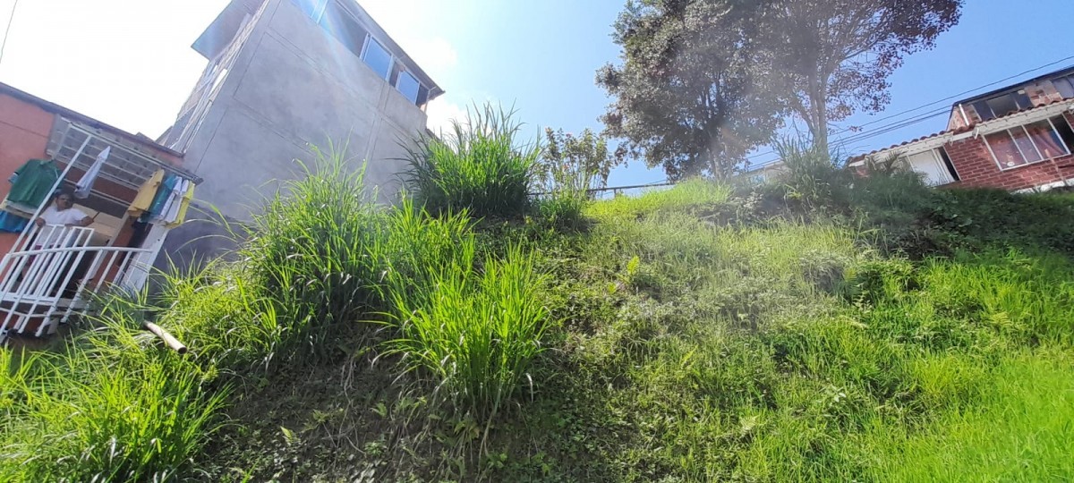 Foto de Lote / terreno en Venta en La isabela, Villamaria - 6 - 25073