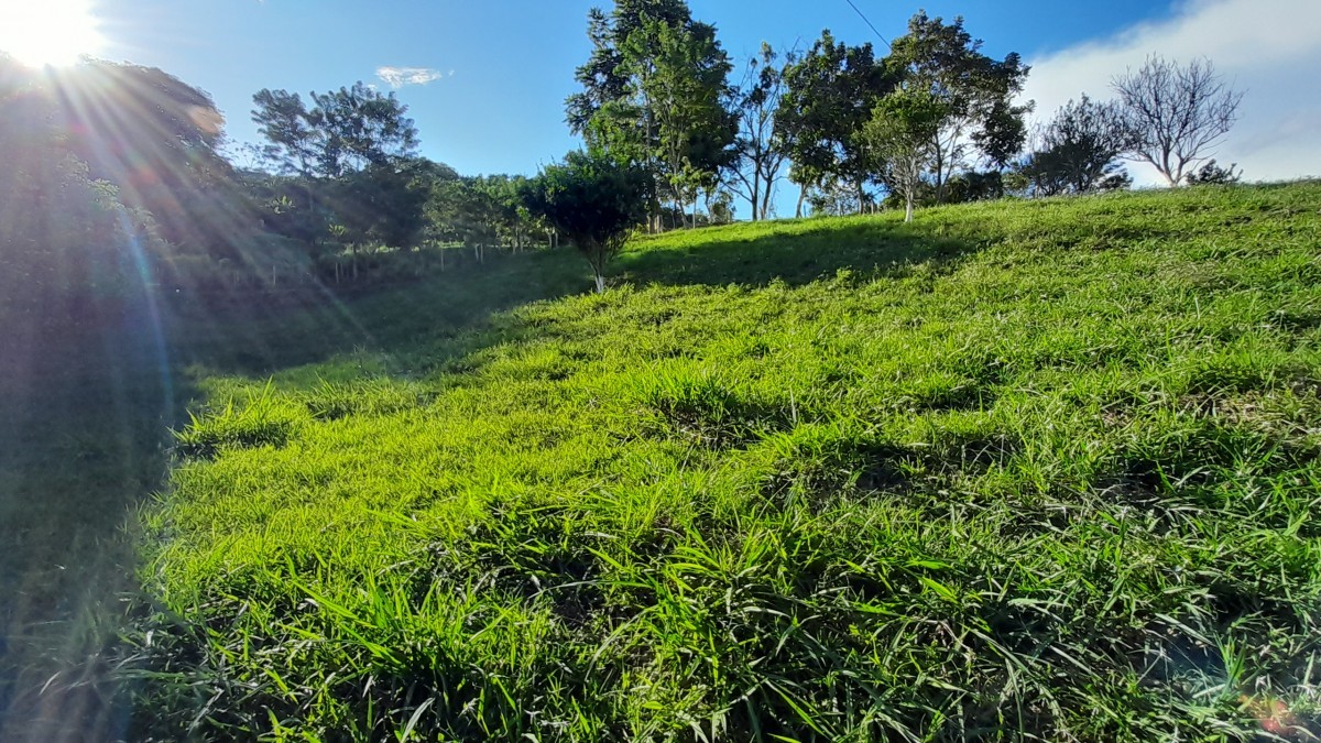 Foto de Lote / terreno en Venta en Arauca via risaralda, Risaralda - 27 - 279024588