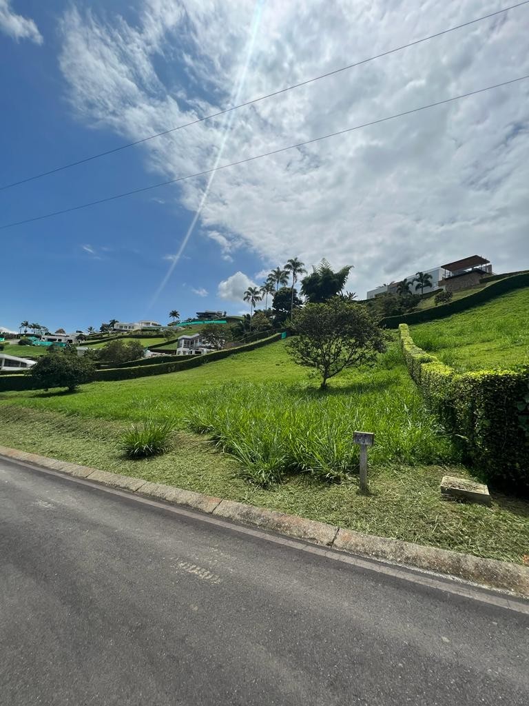 Foto de Lote / terreno para Venta en Vereda santagueda, Palestina - 24242