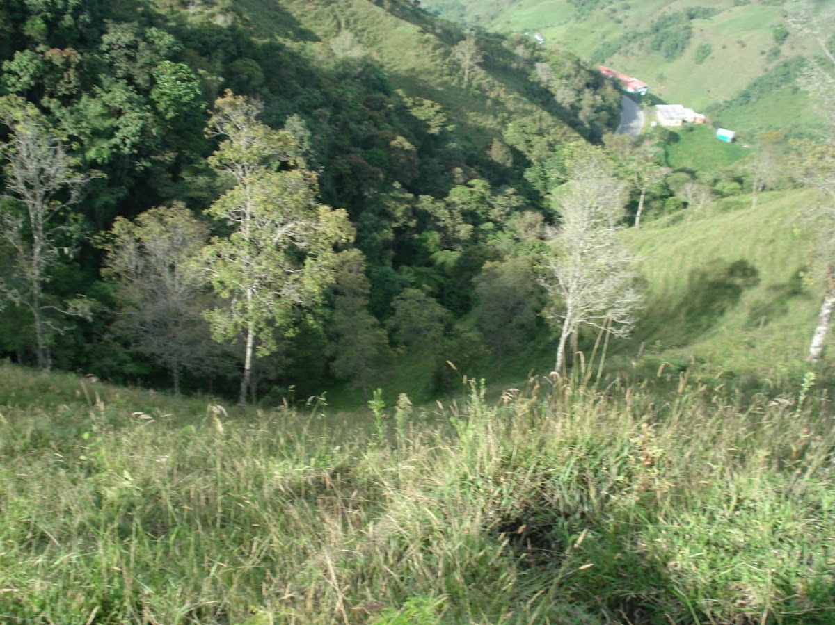 Foto de Finca en Venta en Padua, Libano - 1 - 279020339
