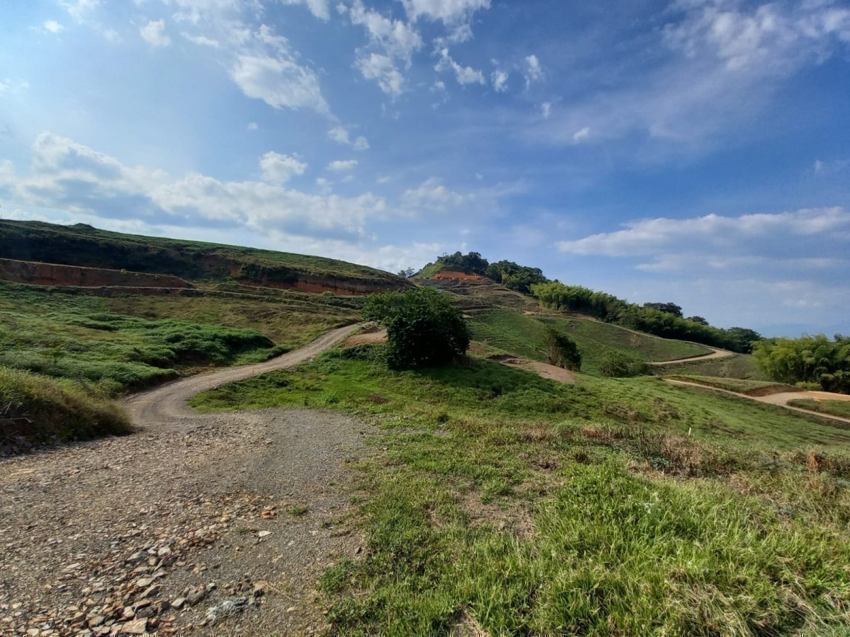 Foto de Lote / terreno en Venta en Vereda santagueda, Palestina - 15 - 279024499