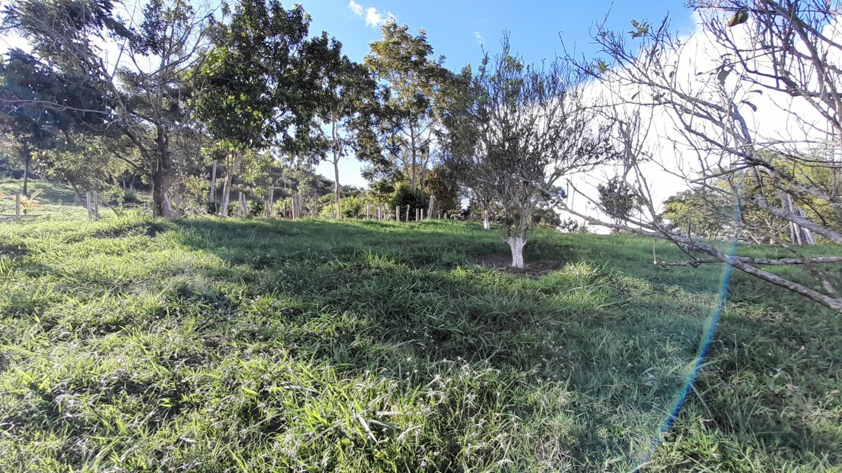Foto de Lote / terreno en Venta en Arauca via risaralda, Risaralda - 20 - 279024588