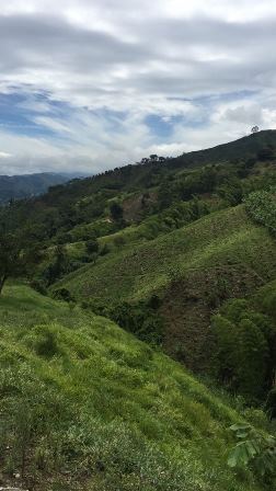 Foto de Finca en Venta en Las pavas, Chinchina - 2 - 16774
