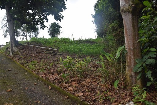 Foto de Finca en Venta en La cabaña, Manizales - 8 - 279024307