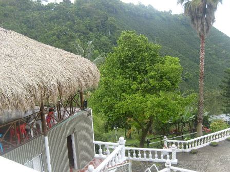 Foto de Finca en Venta en Las pavas, Chinchina - 12 - 16774