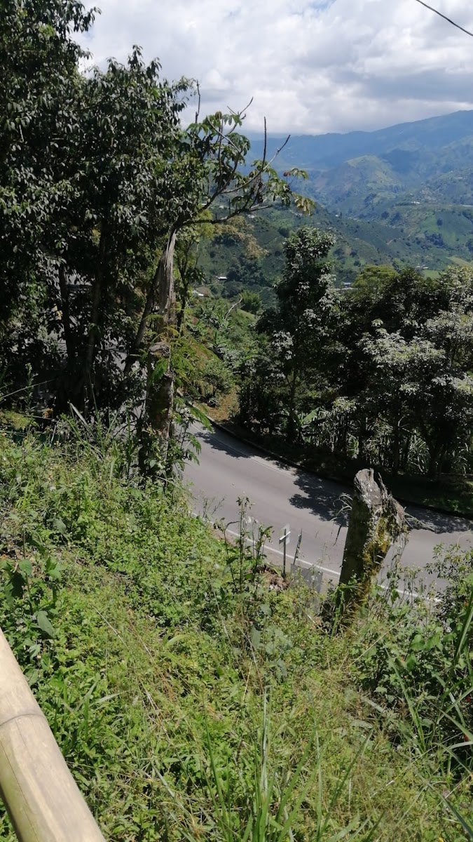 Foto de Finca en Venta en La siria, Chinchina - 14 - 279024691