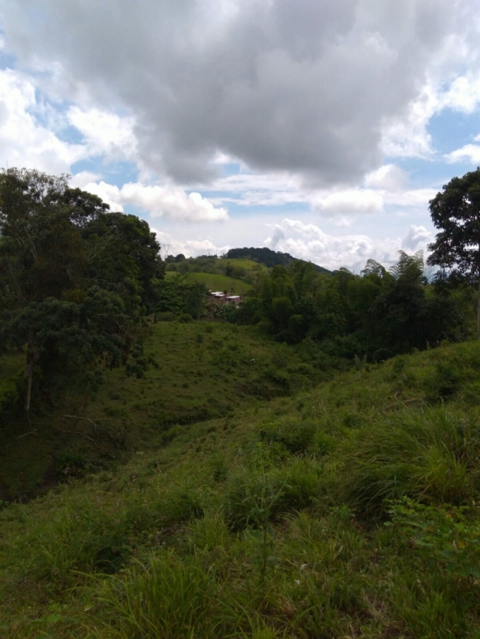 Foto de Lote / terreno en Venta en Vereda la libertad, Risaralda - 1 - 18529