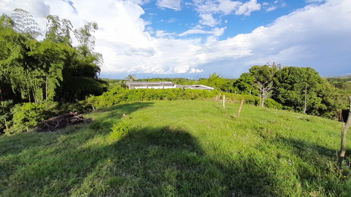 Foto de Lote / terreno en Venta en Arauca via risaralda, Risaralda - 6 - 279024588