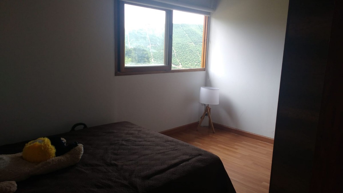Foto de Finca en Venta en Vereda santagueda, Palestina - 18 - 279052239