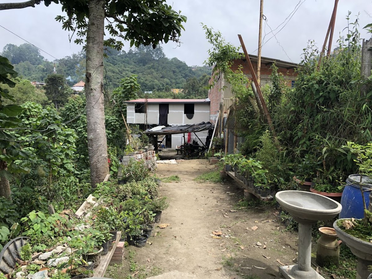 Foto de Lote / terreno en Venta en Panamericana, Manizales - 11 - 20489