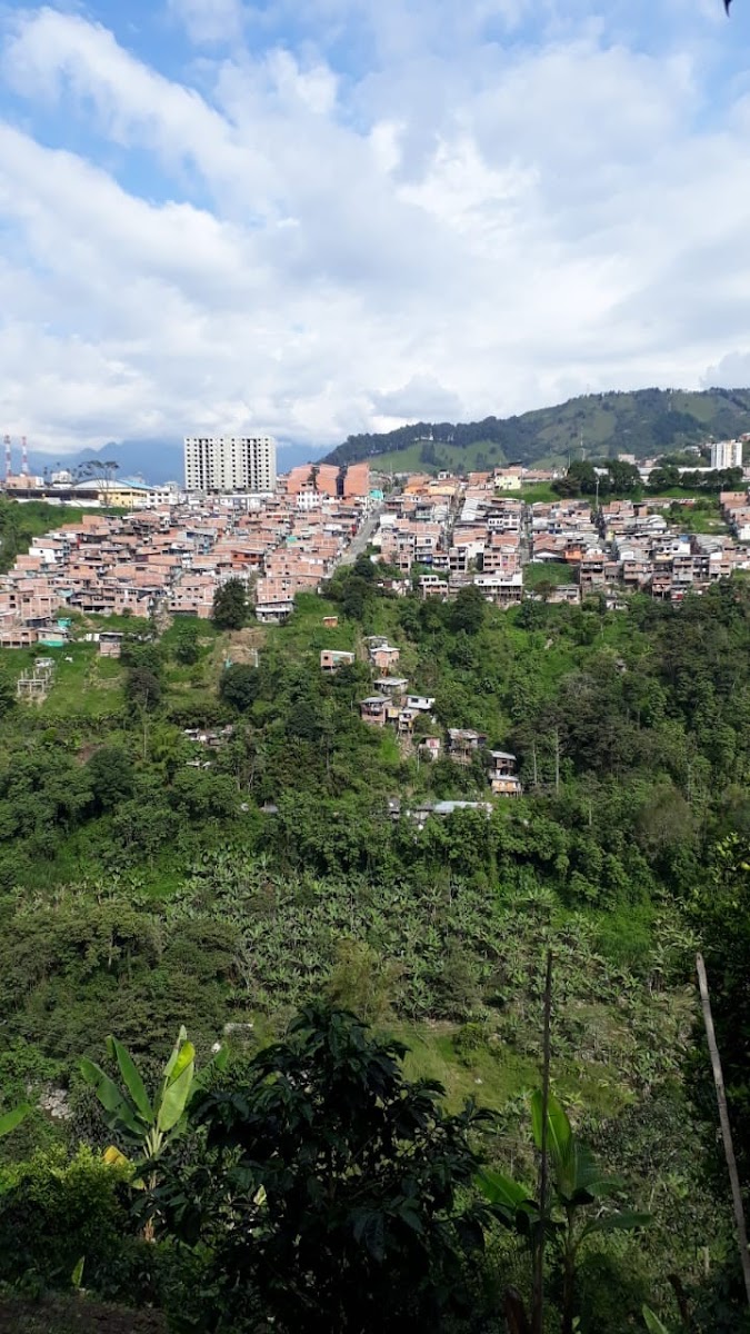 Foto de Finca en Venta en Estambul, Manizales - 16 - 279024289