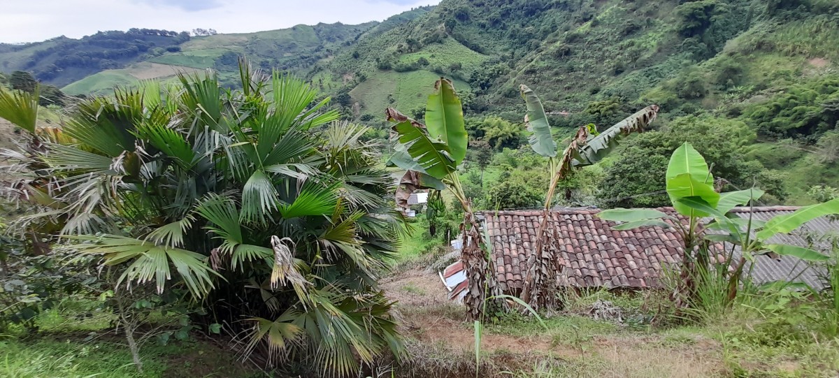 Foto de Finca en Venta en Los nogales, Manizales - 13 - 24633