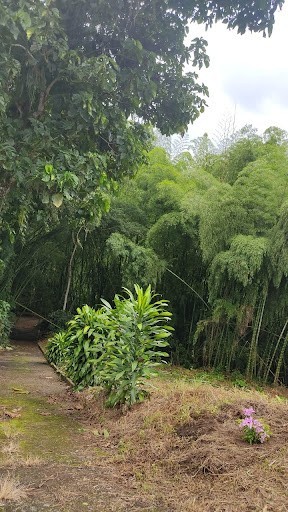 Foto de Finca en Venta en La cabaña, Manizales - 12 - 279024307