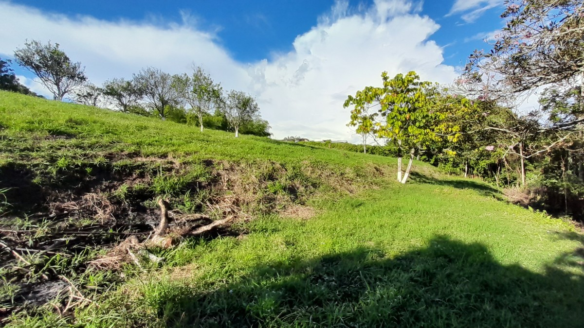Foto de Lote / terreno en Venta en Arauca via risaralda, Risaralda - 29 - 279024588