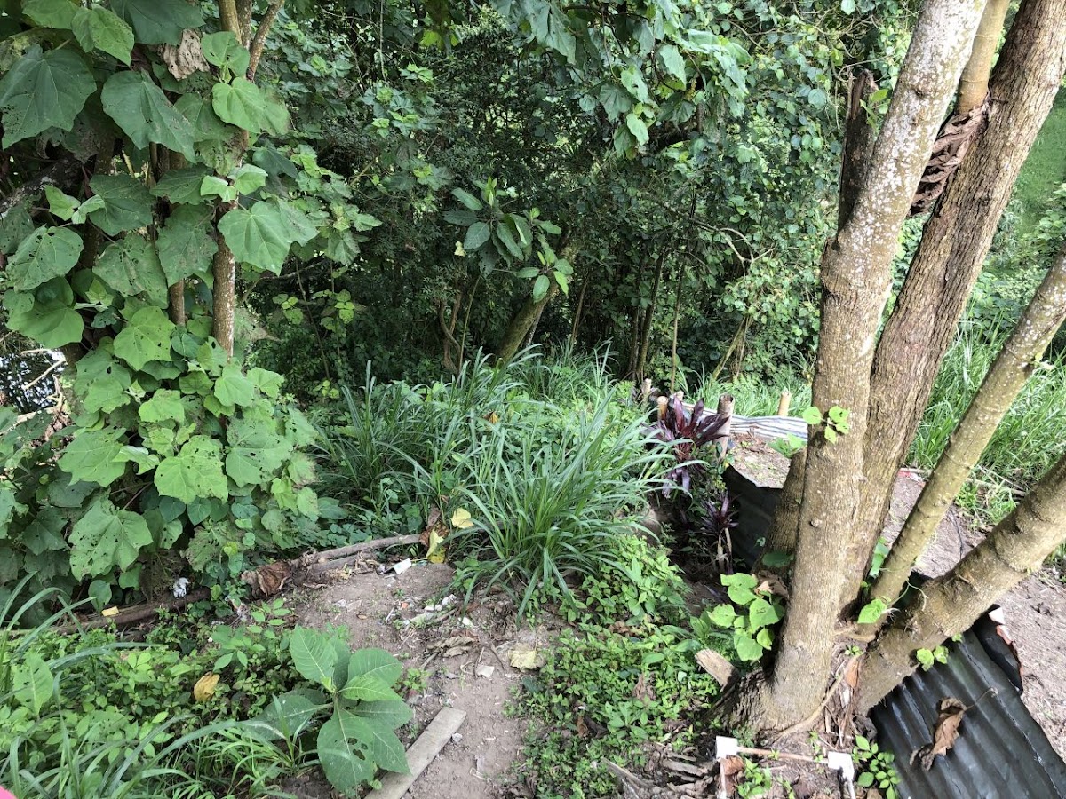 Foto de Lote / terreno en Venta en Panamericana, Manizales - 16 - 20489