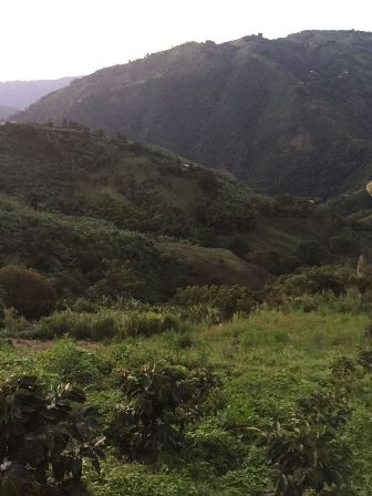 Foto de Finca en Venta en Altobonito, Manizales - 8 - 17458