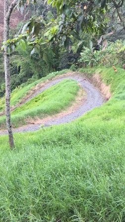 Foto de Finca en Venta en Las pavas, Chinchina - 1 - 16774