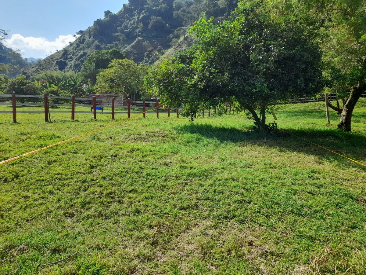 Foto de Lote / terreno en Venta en Vereda el guineo, Manizales - 8 - 279052284