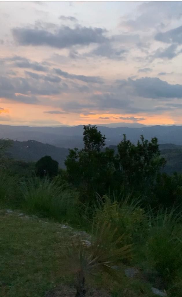 Foto de Finca en Venta en La cabaña, Manizales - 2 - 25118