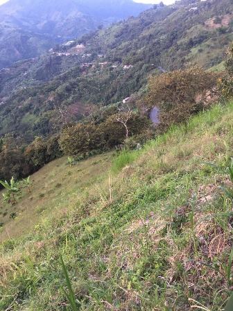 Foto de Finca en Venta en Altobonito, Manizales - 7 - 17458