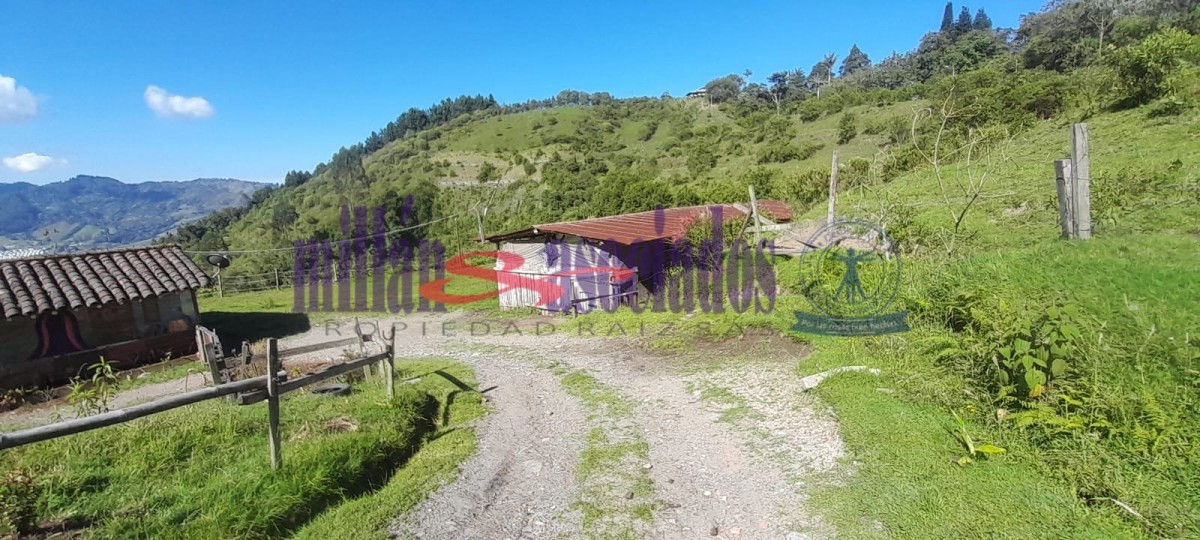 Foto de Lote / terreno en Venta en Cerro de oro, Manizales - 16 - 51810
