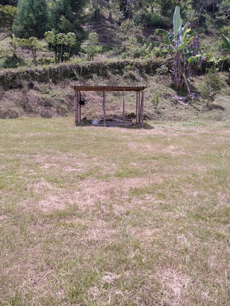 Foto de Lote / terreno en Venta en San peregrino, Manizales - 10 - 279024611