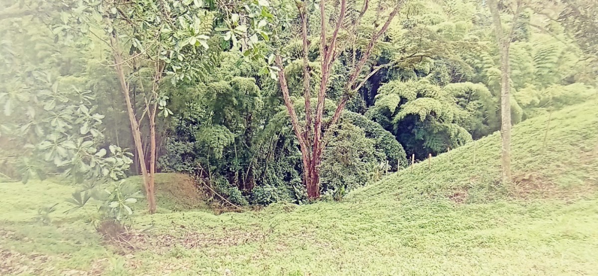 Foto de Lote / terreno para Venta en Vereda minitas , Manizales - 279025017