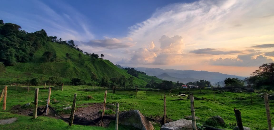 Foto de Lote / terreno en Venta en Malteria, Manizales - 4 - 279022994