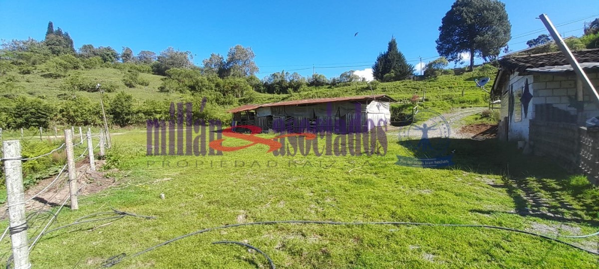 Foto de Lote / terreno en Venta en Cerro de oro, Manizales - 12 - 51810