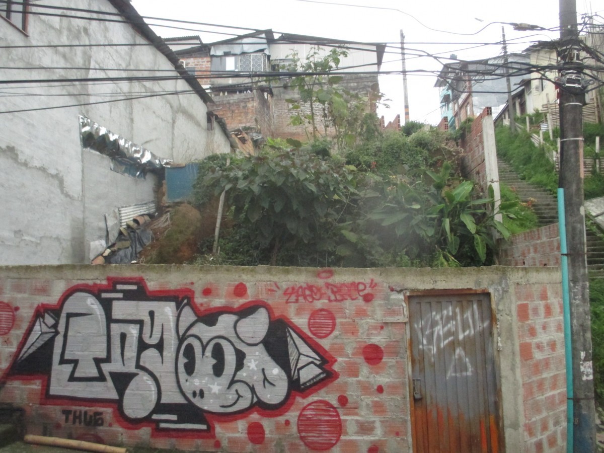 Foto de Lote / terreno en Venta en Los agustinos, Manizales - 5 - 9749