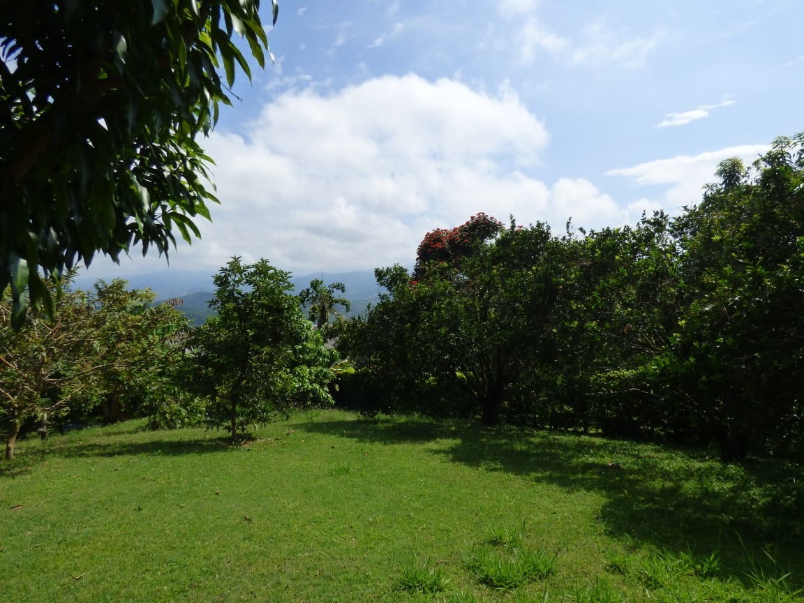 Foto de Lote / terreno en Venta en La cabaña, Manizales - 3 - 23074