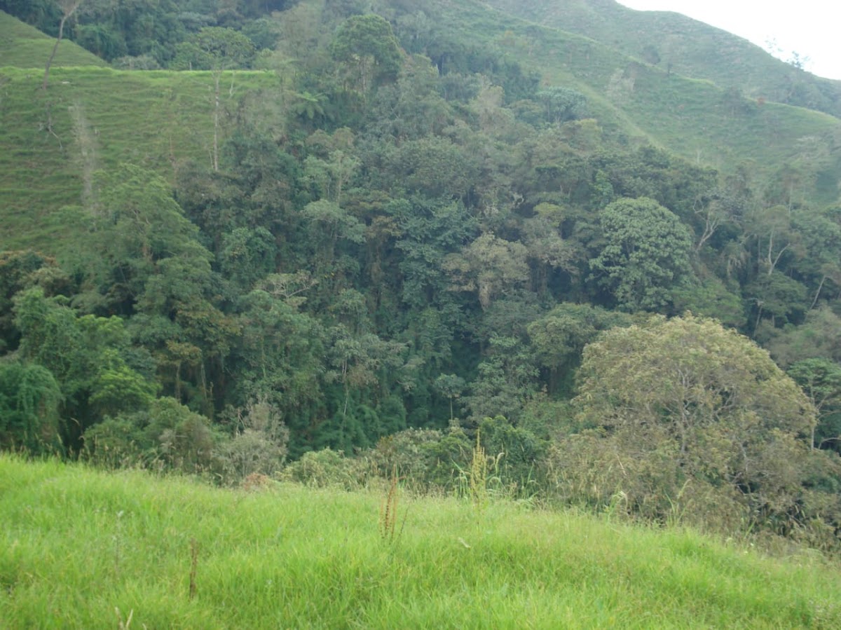 Foto de Finca en Venta en Padua, Libano - 5 - 279020339