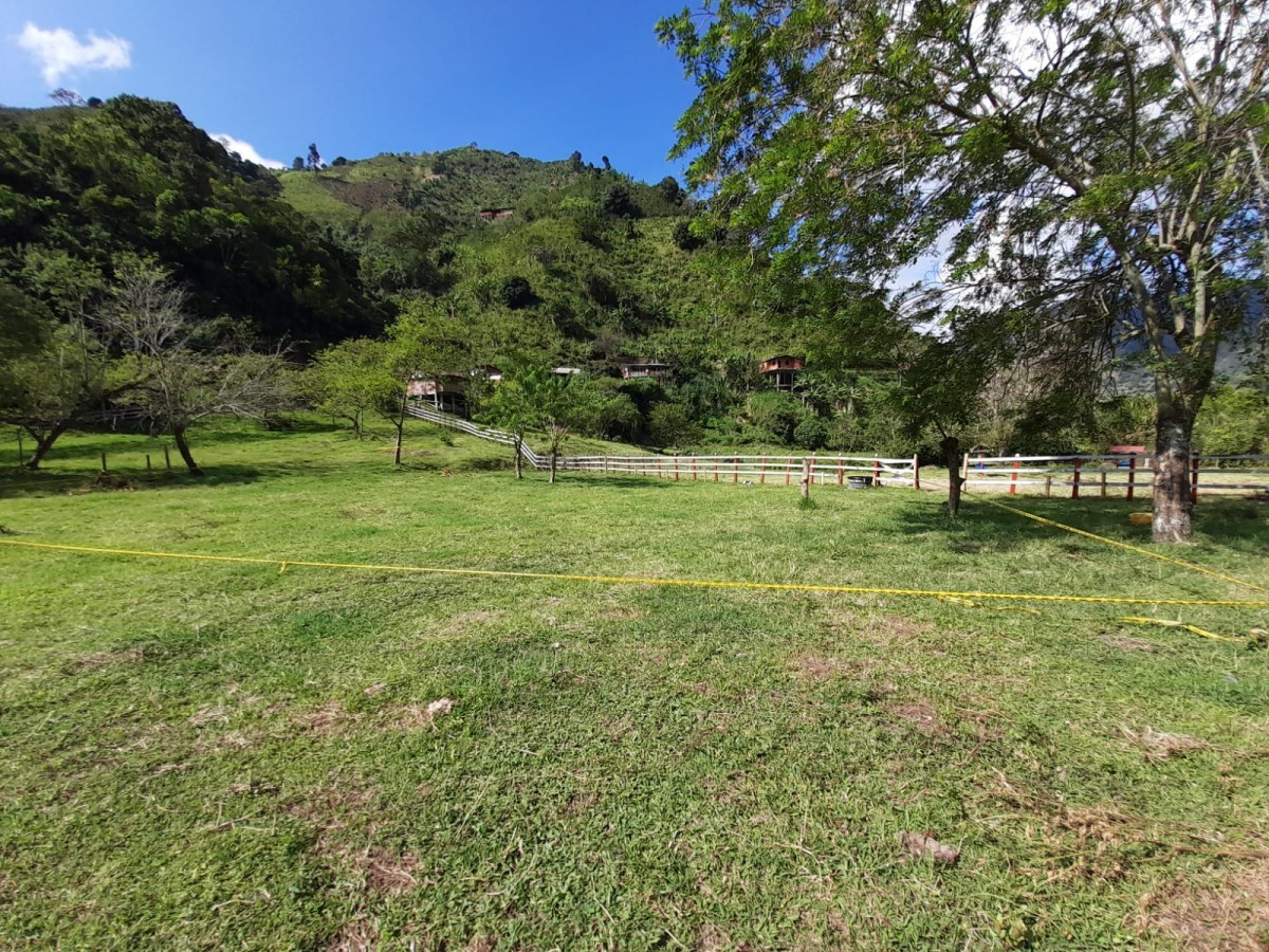 Foto de Lote / terreno en Venta en Vereda el guineo, Manizales - 5 - 279052284