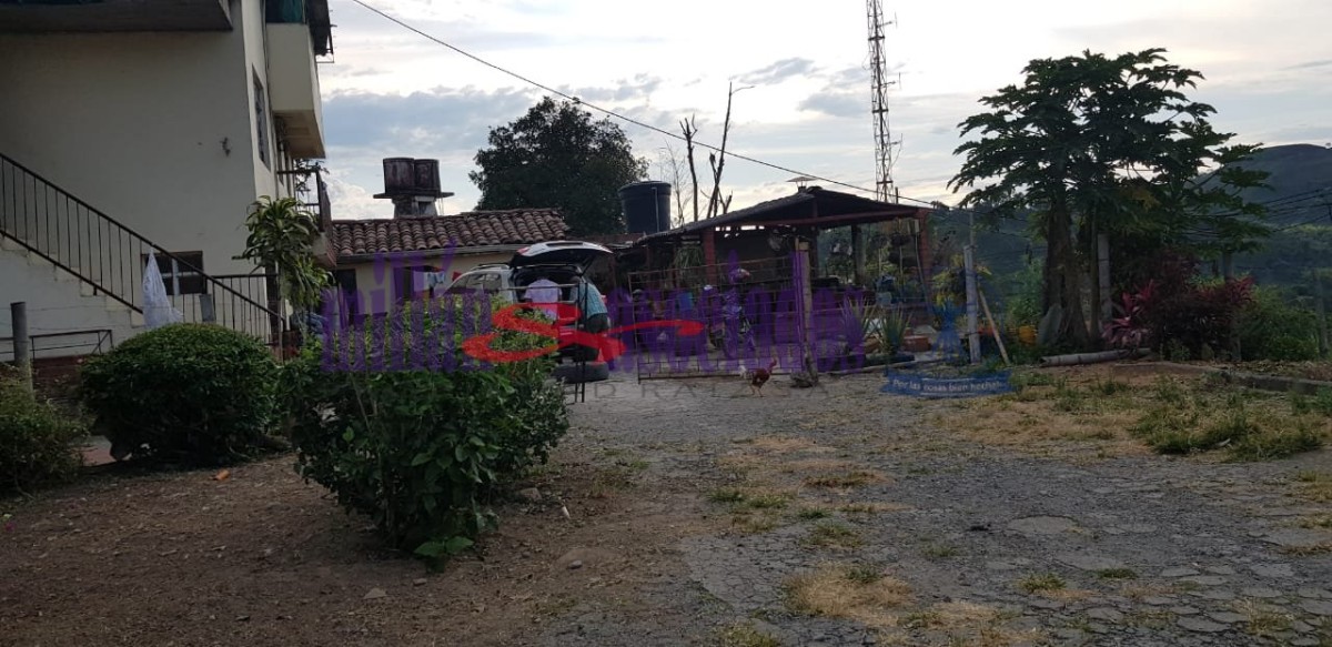 Foto de Finca en Venta en Tres esquinas, Chinchina - 7 - 52177